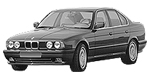 BMW E34 P101E Fault Code